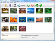 free html code photo album 